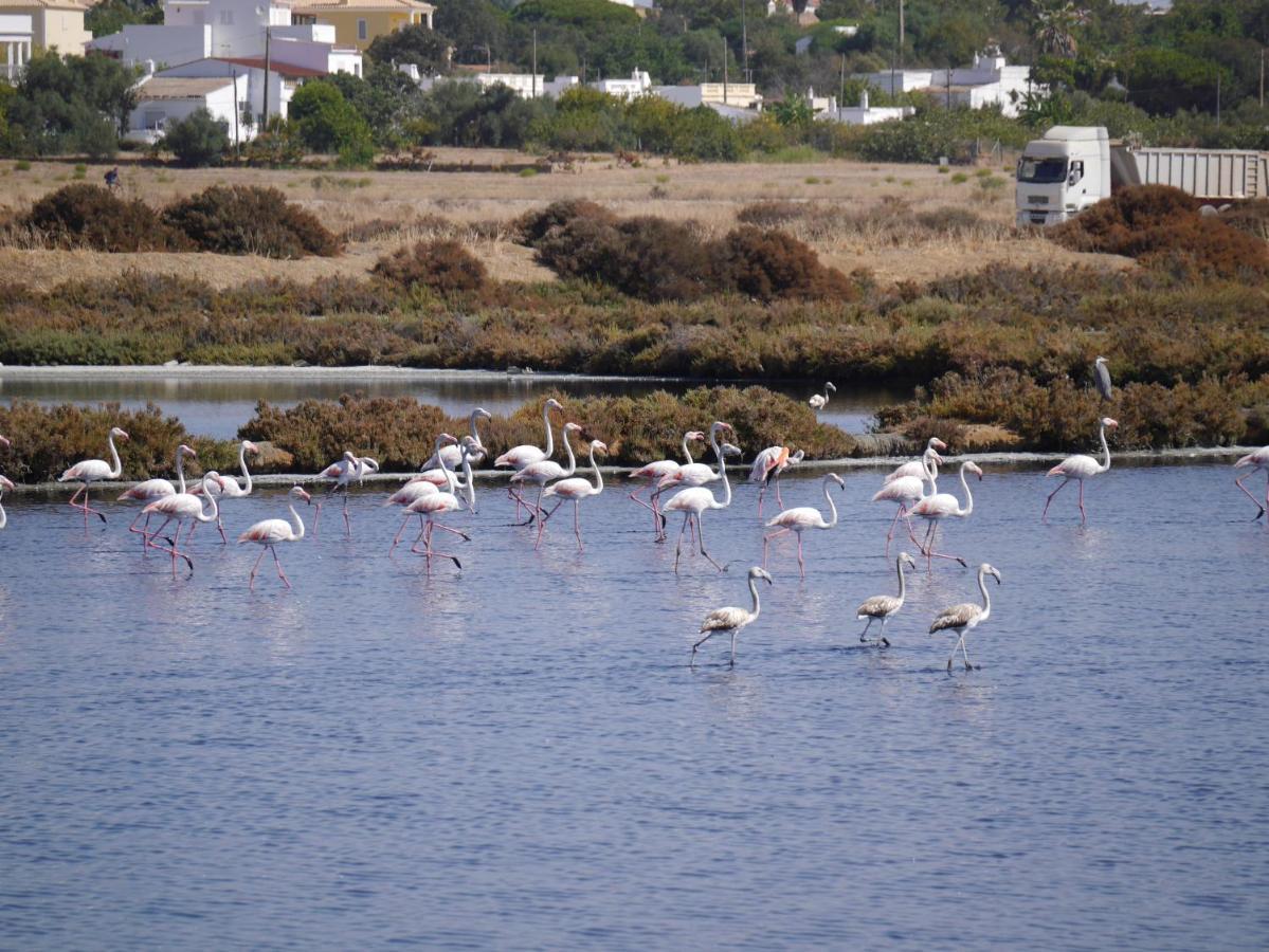 Tavira Nomad Guesthouse Εξωτερικό φωτογραφία